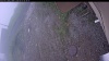 Web Cam Image - Sun, 06/07/2026 7:24am PDT