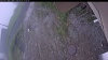 Web Cam Image - Tue, 06/09/2026 10:44am PDT