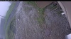 Web Cam Image - Tue, 06/09/2026 11:39am PDT