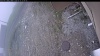 Web Cam Image - Wed, 05/13/2026 12:29pm PDT