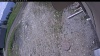 Web Cam Image - Sun, 05/24/2026 11:24am PDT