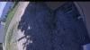 Web Cam Image - Tue, 06/02/2026 2:19pm PDT