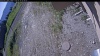 Web Cam Image - Sun, 06/14/2026 8:09am PDT