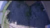Web Cam Image - Wed, 06/24/2026 2:59pm PDT