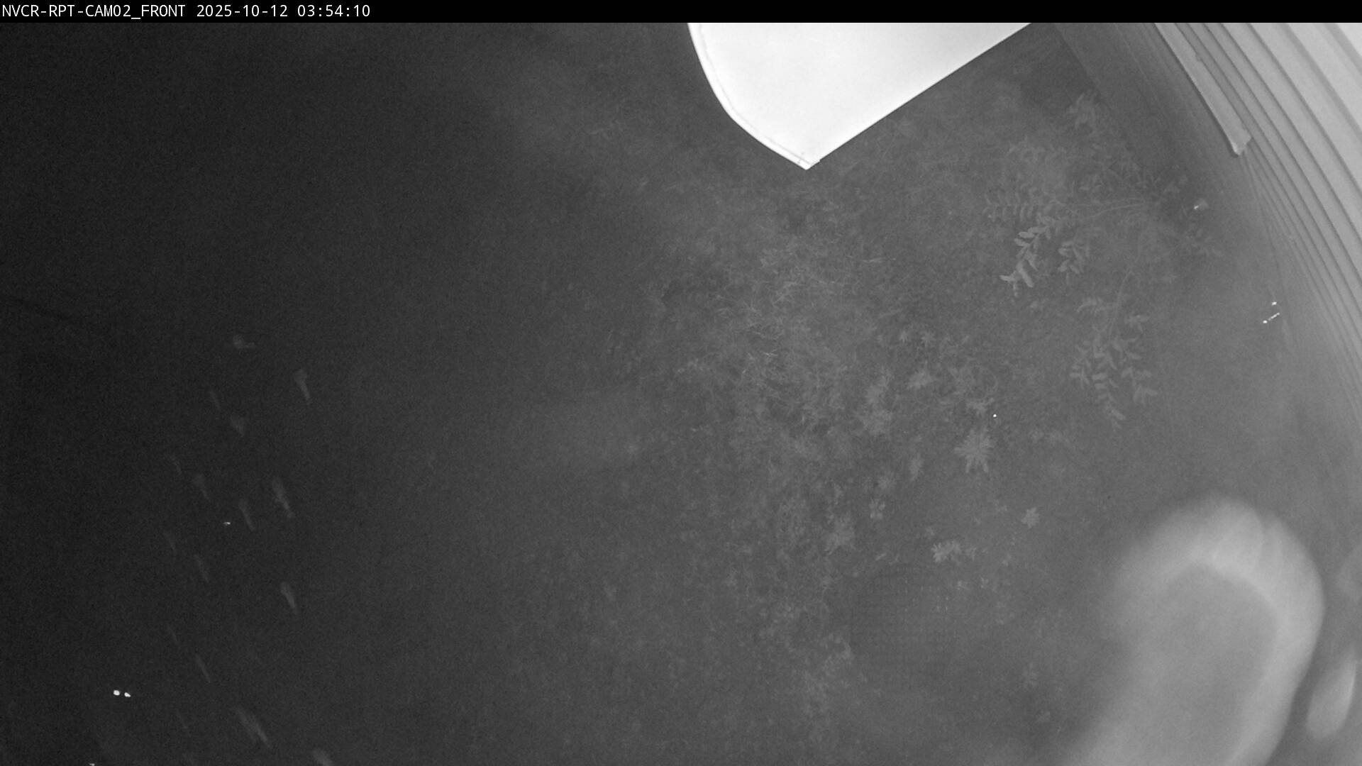 Web Cam History Image - 978