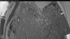 Web Cam Image - Wed, 06/10/2026 3:19am PDT