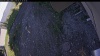 Web Cam Image - Thu, 06/11/2026 5:49pm PDT
