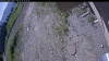 Web Cam Image - Tue, 06/16/2026 8:55am PDT