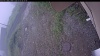 Web Cam Image - Fri, 07/03/2026 6:59am PDT
