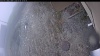 Web Cam Image - Wed, 05/06/2026 8:34am PDT