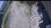 Web Cam Image - Sun, 06/21/2026 10:24am PDT