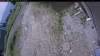 Web Cam Image - Sun, 07/05/2026 10:54am PDT