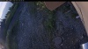 Web Cam Image - Tue, 07/07/2026 4:44am PDT