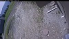 Web Cam Image - Thu, 05/21/2026 10:49am PDT