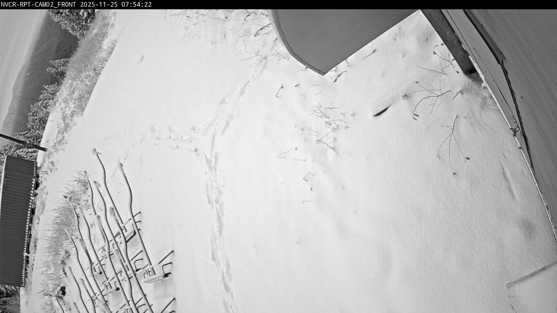 Web Cam History Image - 99