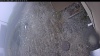 Web Cam Image - Wed, 05/06/2026 8:29am PDT