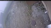 Web Cam Image - Wed, 05/13/2026 12:14pm PDT
