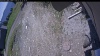 Web Cam Image - Wed, 05/27/2026 11:49am PDT