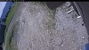 Web Cam Image - Mon, 06/01/2026 10:24am PDT