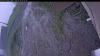 Web Cam Image - Tue, 06/09/2026 5:19am PDT