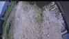 Web Cam Image - Tue, 07/07/2026 10:59am PDT