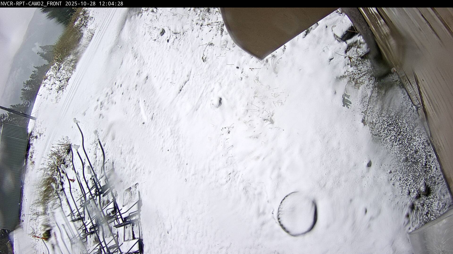 Web Cam History Image - 981