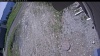 Web Cam Image - Mon, 06/01/2026 10:19am PDT