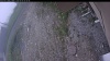 Web Cam Image - Thu, 06/04/2026 8:19am PDT