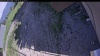 Web Cam Image - Tue, 06/23/2026 2:44pm PDT