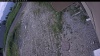 Web Cam Image - Thu, 06/25/2026 11:34am PDT