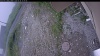 Web Cam Image - Sun, 06/28/2026 8:49am PDT