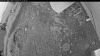 Web Cam Image - Wed, 07/01/2026 8:09pm PDT