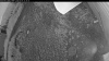 Web Cam Image - Sat, 07/04/2026 8:34pm PDT