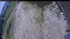 Web Cam Image - Tue, 07/07/2026 10:49am PDT
