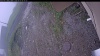 Web Cam Image - Sun, 06/07/2026 6:49am PDT