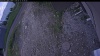 Web Cam Image - Fri, 06/12/2026 1:09pm PDT