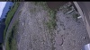 Web Cam Image - Tue, 06/23/2026 6:54am PDT