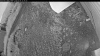 Web Cam Image - Sat, 07/04/2026 8:29pm PDT
