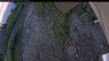 Web Cam Image - Tue, 07/07/2026 4:24am PDT
