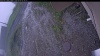 Web Cam Image - Tue, 06/09/2026 4:59am PDT