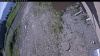 Web Cam Image - Tue, 06/16/2026 8:24am PDT
