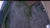 Web Cam Image - Wed, 06/24/2026 4:14am PDT