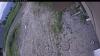 Web Cam Image - Thu, 06/25/2026 11:19am PDT