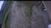 Web Cam Image - Tue, 07/07/2026 5:09pm PDT