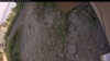 Web Cam Image - Mon, 09/01/2025 9:19am PDT