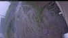 Web Cam Image - Tue, 06/09/2026 4:54am PDT
