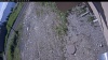Web Cam Image - Tue, 06/16/2026 8:19am PDT