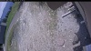 Web Cam Image - Thu, 05/21/2026 11:34am PDT