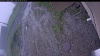 Web Cam Image - Tue, 06/09/2026 4:49am PDT