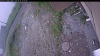 Web Cam Image - Sun, 06/28/2026 8:24am PDT